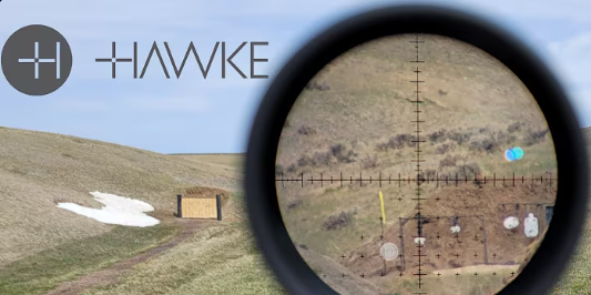 a873bbdf41dd3d8aa7310fbd63de7894f1b91f2f (1)